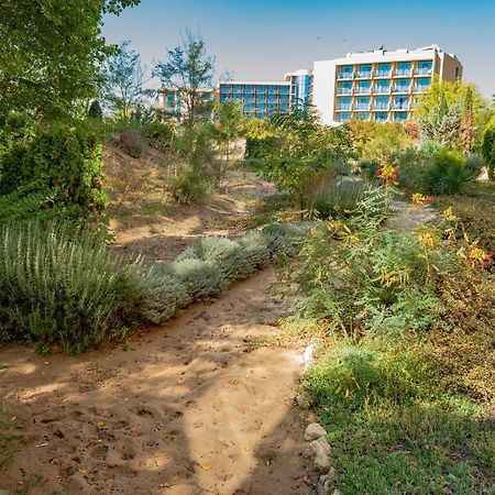 Menada Dune Residence Apartments 써니비치 외부 사진